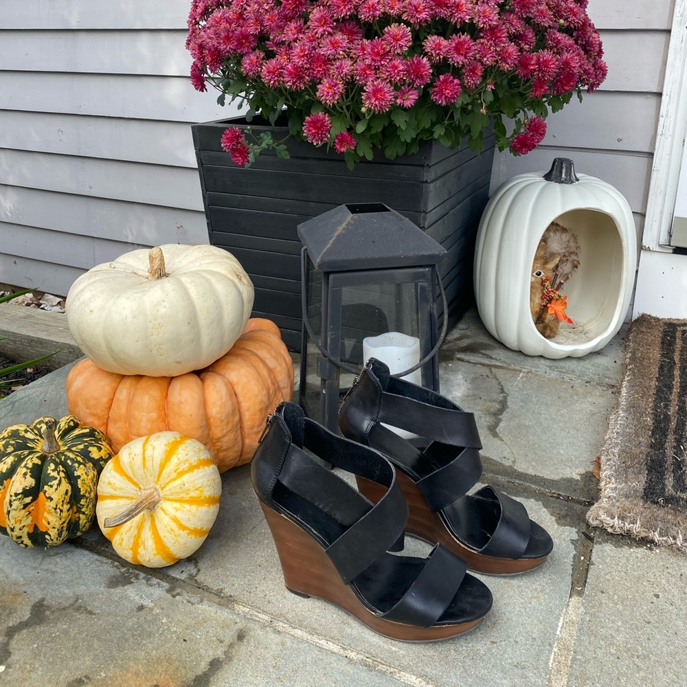 Wedge sandals